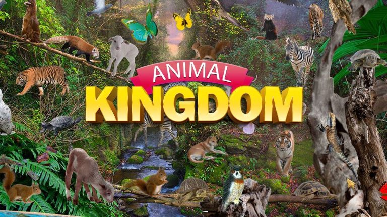 Télécharger la série Distribution De Animal Kingdom depuis Mediafire