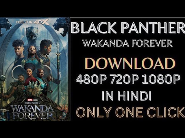 Télécharger le film Black Panther 2 Vf Streaming depuis Mediafire