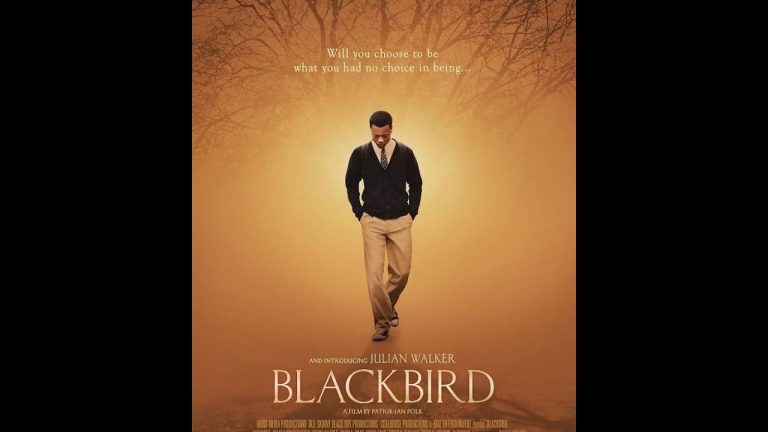Télécharger le film Blackbird 2014 Films depuis Mediafire