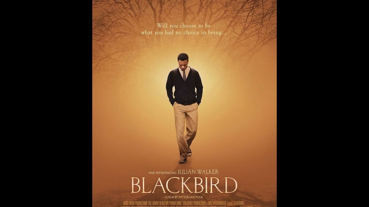 Telecharger le film Blackbird 2014 Films depuis Mediafire Télécharger le film Blackbird 2014 Films depuis Mediafire