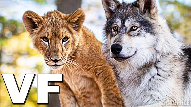 Télécharger le film Le Loup Et Le Lion Streaming Vf depuis Mediafire
